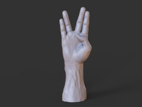 Male Hand Pose - Gesture - 17 3D Print Model