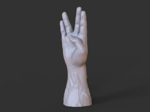 Male Hand Pose - Gesture - 17 3D Print Model