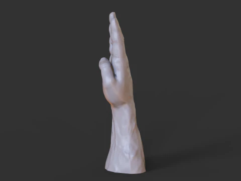 Male Hand Pose - Gesture - 17 3D Print Model