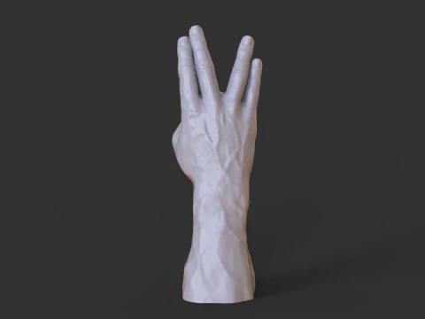 Male Hand Pose - Gesture - 17 3D Print Model