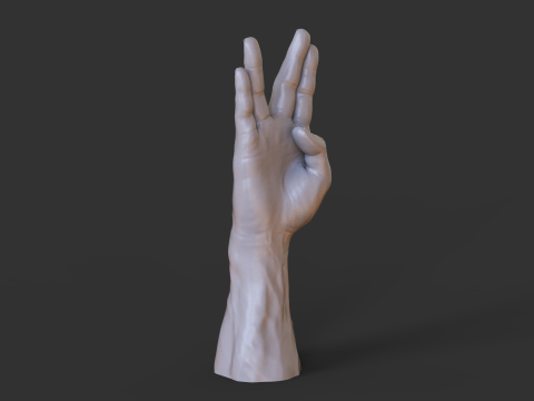 Male Hand Pose - Gesture - 17 Model Cetak 3D