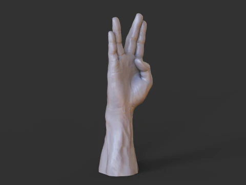 Male Hand Pose - Gesture - 17 3D Print Model