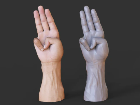 Male Hand Pose - Gesture - 18 3D Print Model