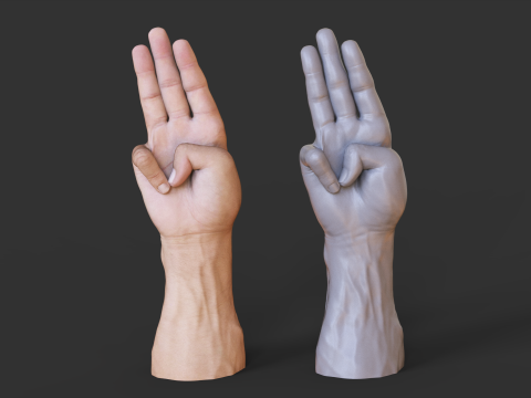 Male Hand Pose - Gesture - 18 3D Print Model