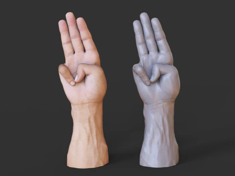 Male Hand Pose - Gesture - 18 3D Print Model