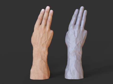Male Hand Pose - Gesture - 18 3D Print Model
