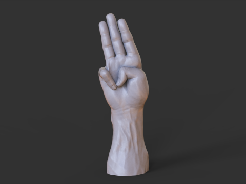 Male Hand Pose - Gesture - 18 3D Print Model