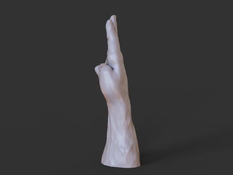 Male Hand Pose - Gesture - 18 3D Print Model