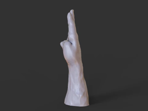 Male Hand Pose - Gesture - 18 3D Print Model