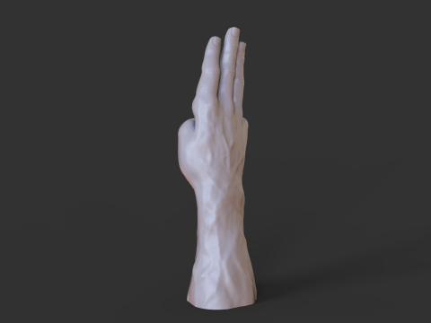 Male Hand Pose - Gesture - 18 3D Print Model