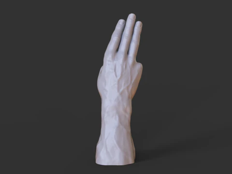 Male Hand Pose - Gesture - 18 3D Print Model