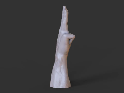 Male Hand Pose - Gesture - 18 3D Print Model