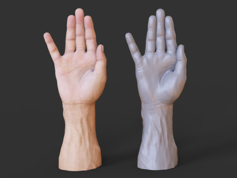 Male Hand Pose - Gesture - 19 Model Cetak 3D