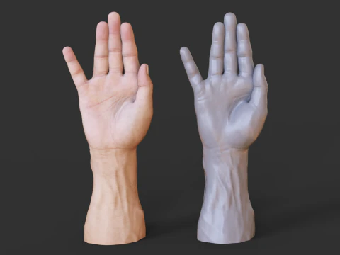 Male Hand Pose - Gesture - 19 3D Print Model