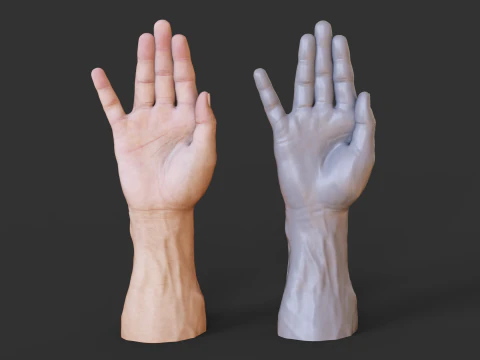 Male Hand Pose - Gesture - 19 3D Print Model