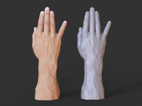 Male Hand Pose - Gesture - 19 3D Print Model