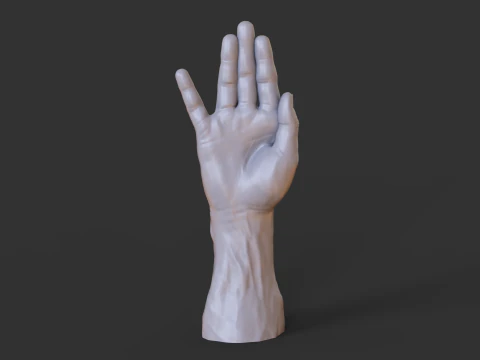 Male Hand Pose - Gesture - 19 3D Print Model