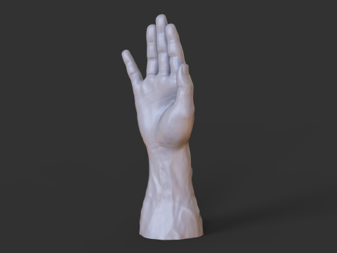 Male Hand Pose - Gesture - 19 3D 打印模型