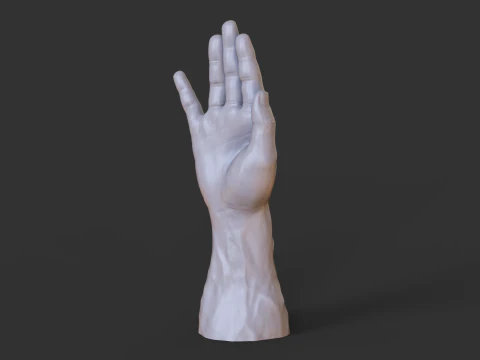 Male Hand Pose - Gesture - 19 3D Print Model