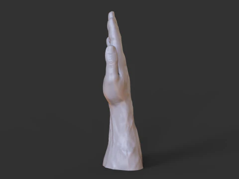 Male Hand Pose - Gesture - 19 3D Print Model