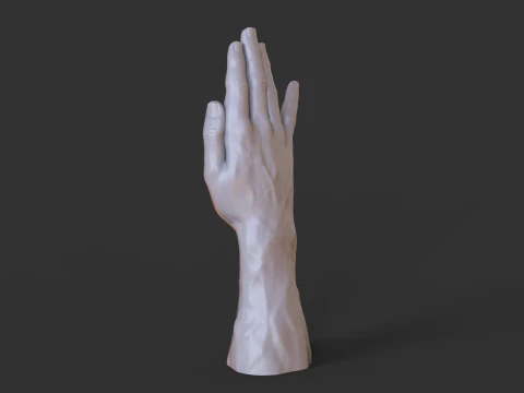 Male Hand Pose - Gesture - 19 3D Print Model