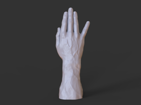 Male Hand Pose - Gesture - 19 3D 打印模型