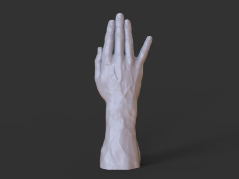 Male Hand Pose - Gesture - 19 3D Print Model