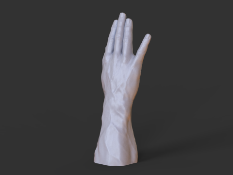 Male Hand Pose - Gesture - 19 3D 打印模型