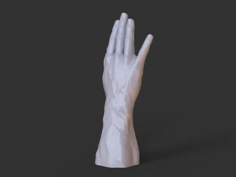 Male Hand Pose - Gesture - 19 3D Print Model