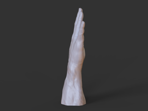 Male Hand Pose - Gesture - 19 3D 打印模型