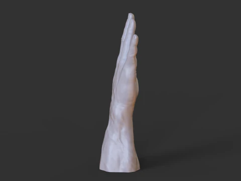 Male Hand Pose - Gesture - 19 3D Print Model