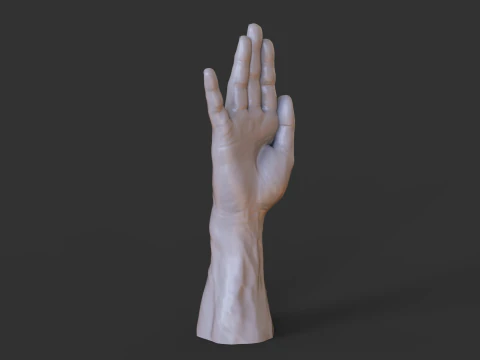 Male Hand Pose - Gesture - 19 3D Print Model