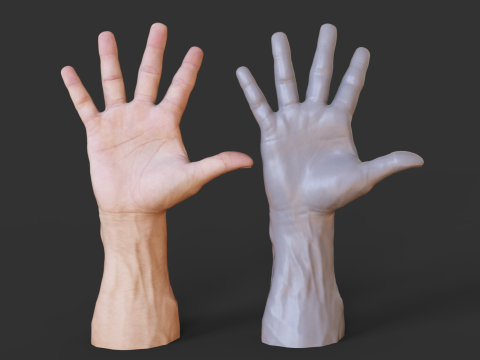Male Hand Pose - Gesture - 20 Modello di stampa 3D