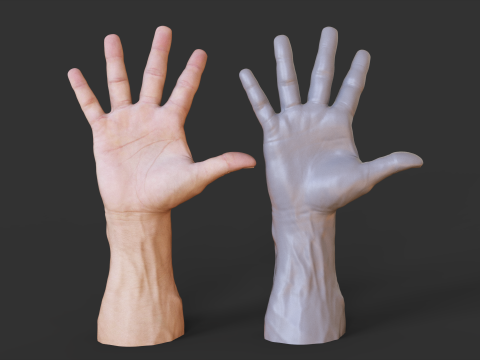 Male Hand Pose - Gesture - 20 3Dプリントモデル