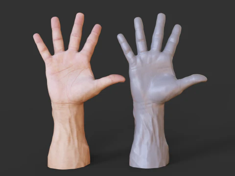 Male Hand Pose - Gesture - 20 3D Print Model