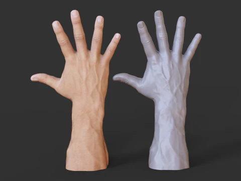 Male Hand Pose - Gesture - 20 3D Print Model