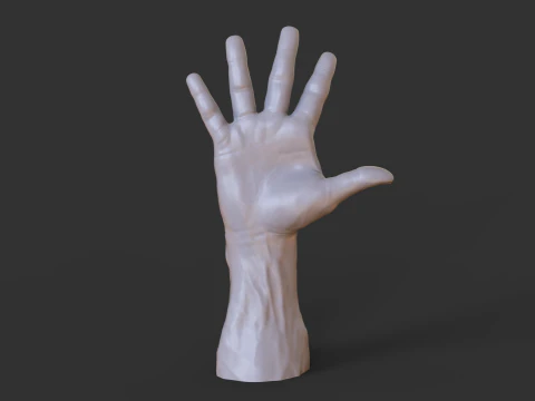 Male Hand Pose - Gesture - 20 3D Print Model