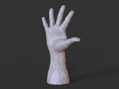 Male Hand Pose - Gesture - 20 3D Print Model