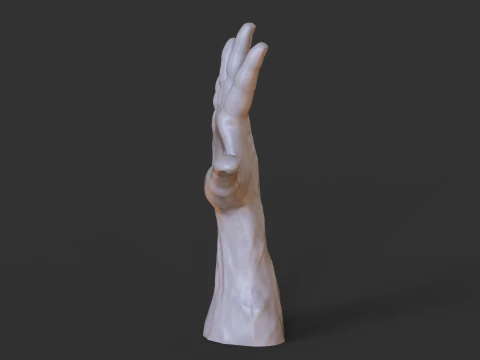 Male Hand Pose - Gesture - 20 3D Print Model