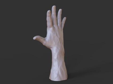 Male Hand Pose - Gesture - 20 3D Print Model