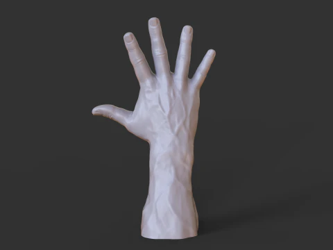 Male Hand Pose - Gesture - 20 3D Print Model