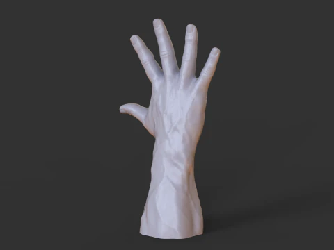 Male Hand Pose - Gesture - 20 3D Print Model