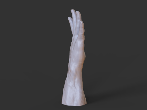 Male Hand Pose - Gesture - 20 3Dプリントモデル