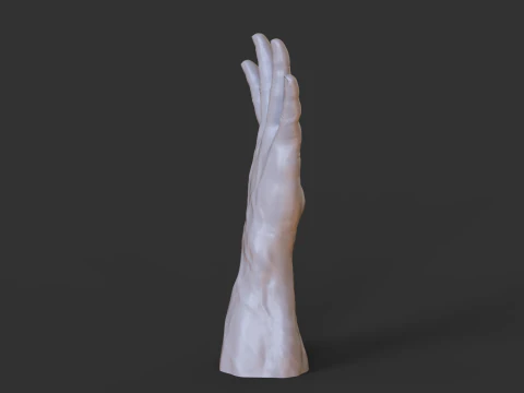 Male Hand Pose - Gesture - 20 3D Print Model