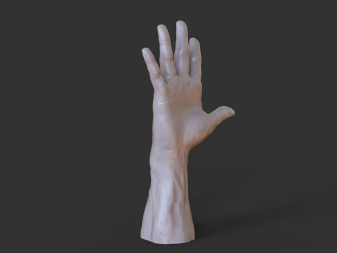 Male Hand Pose - Gesture - 20 3D Print Model