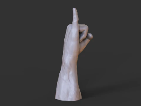 Male Hand Pose - Gesture - 22 3D Print Model