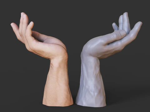 Male Hand Pose - Gesture - 23 3D Print Model