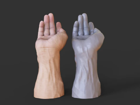 Male Hand Pose - Gesture - 23 3D Print Model