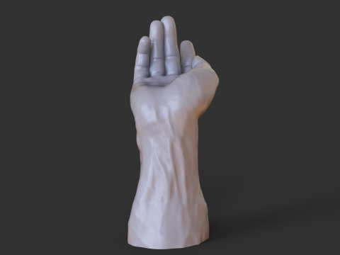 Male Hand Pose - Gesture - 23 3D प्रिंट मॉडल