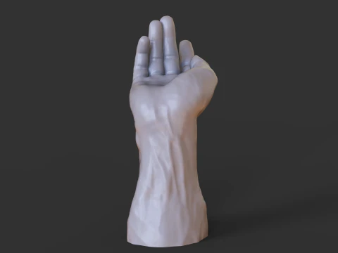 Male Hand Pose - Gesture - 23 3D Print Model